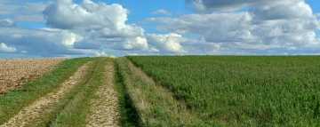 ligne